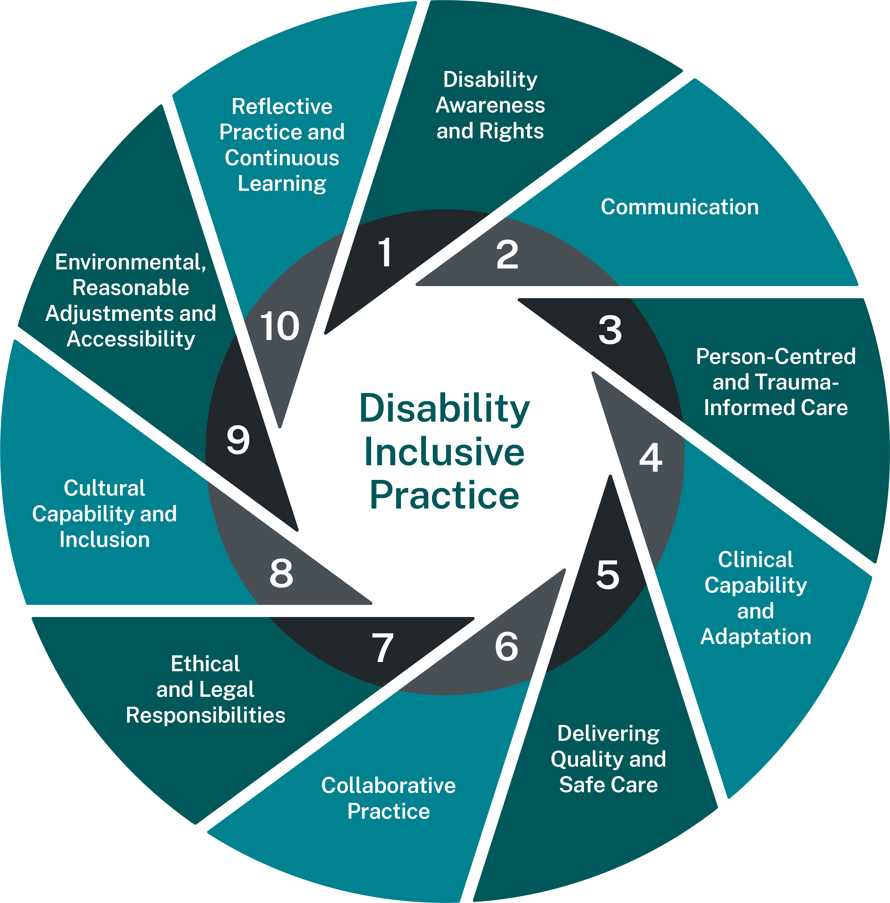 Disability framework domains circle